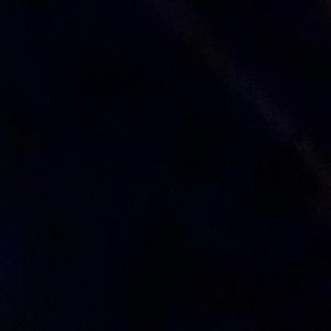 Meet your Posher, Molly